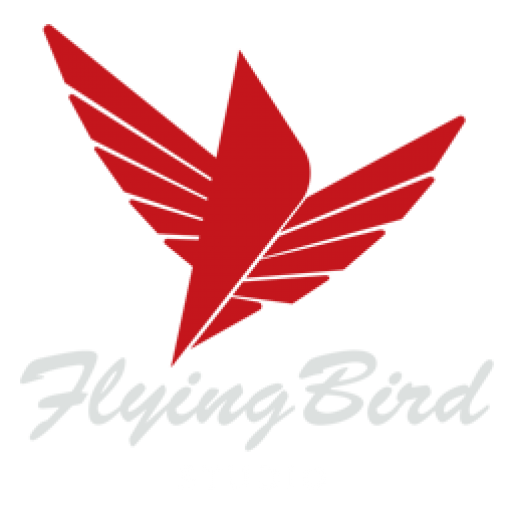 Achat direct de la Démo Alpha FlyingDrone ///